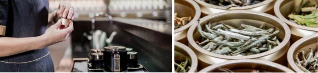 One can, one brew makes tea preparation an accessible everyday ritual.